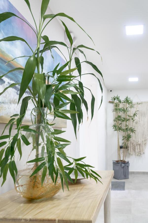 Hotel Bambu Milla De Oro 麦德林 外观 照片