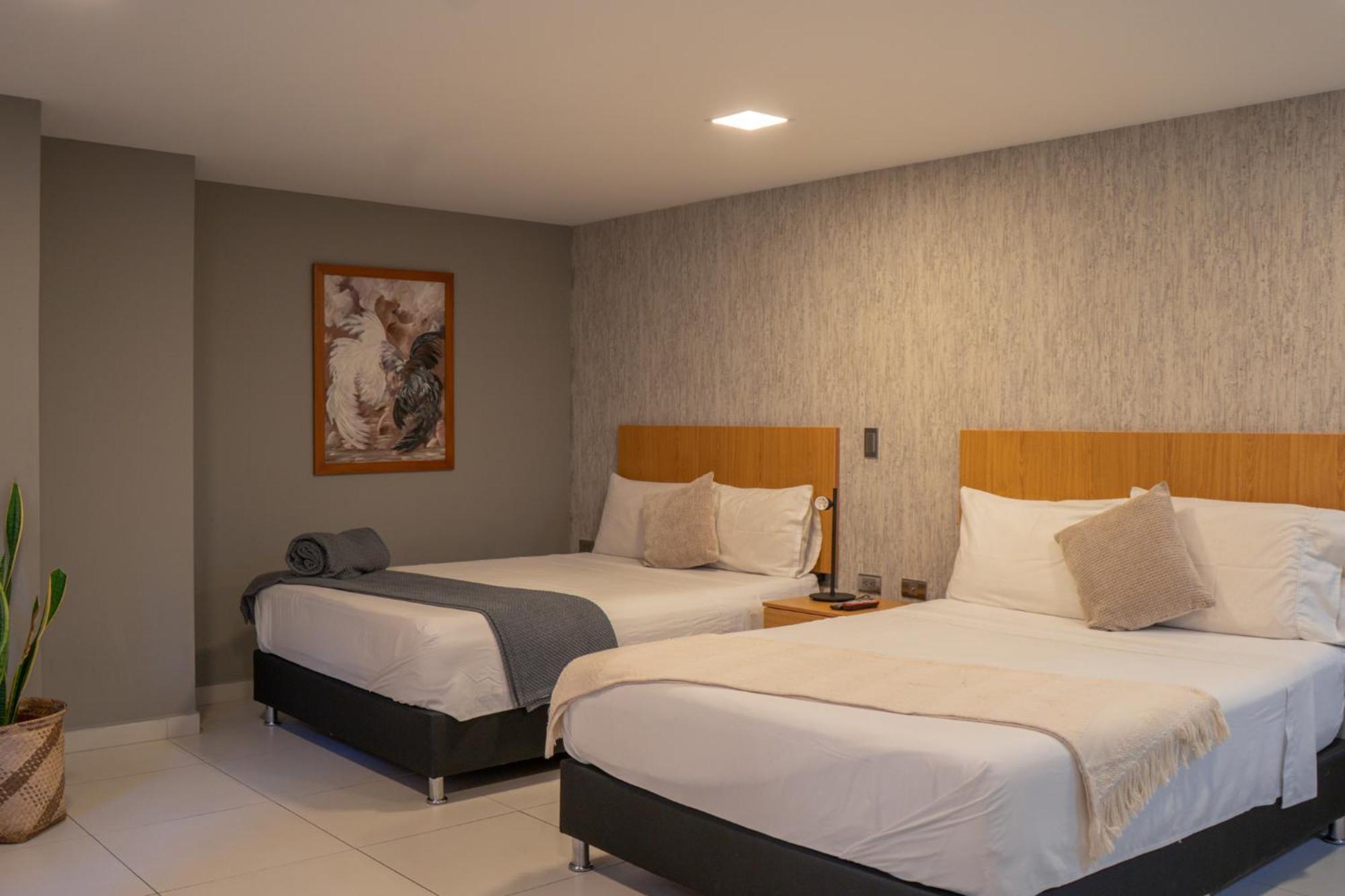 Hotel Bambu Milla De Oro 麦德林 外观 照片